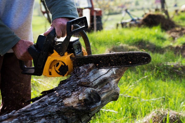 Best Hazardous Tree Removal  in Wake Forest, NC